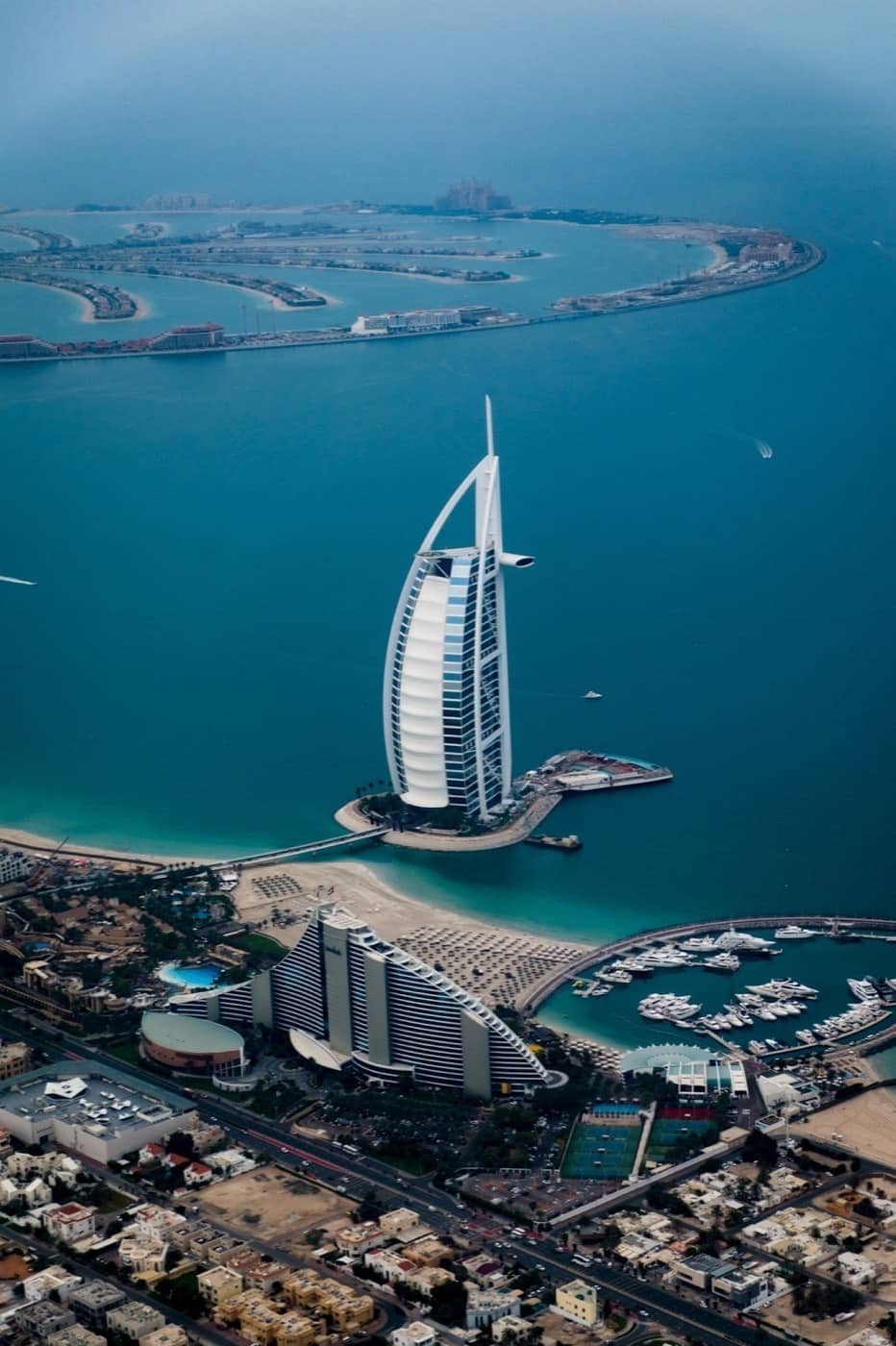 UAE business expansion forecasting