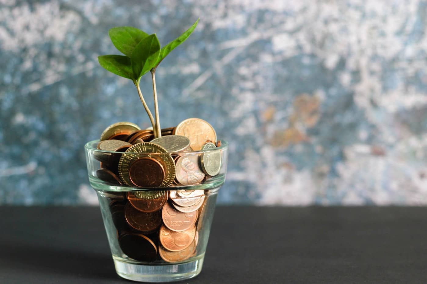 Business budgets and forecasts for Dubai companies