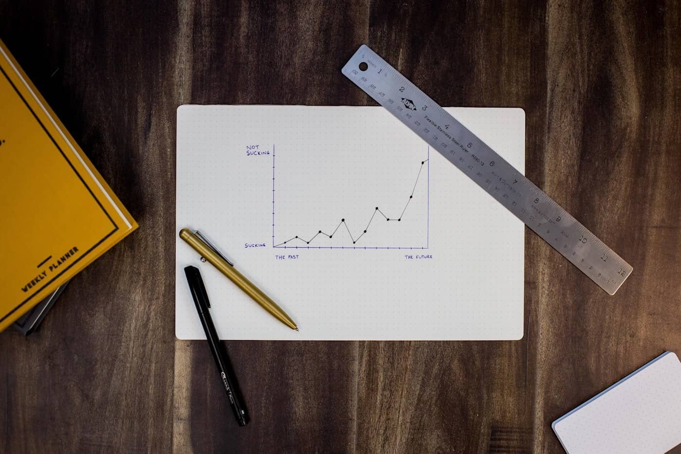 Management financial insights for UAE companies